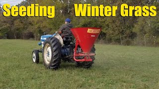 Basics of Winter Grass Rye Grass Clover Etc [upl. by Mahala]