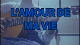 L’AMOUR DE MA VIE  Billie Eilish  2nd attempt acoustic cover [upl. by Nalhsa]