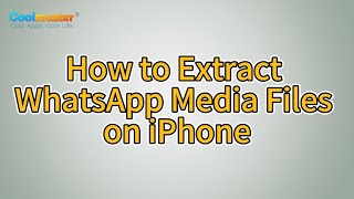 How to Extract WhatsApp Media Files on iPhone Solved [upl. by Idnahk]