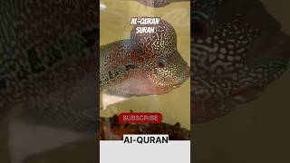 💖💖Besak ALLAH  Quran Surah  shorts youtubeshorts quran holyquran urdu 💖explore [upl. by Dibbrun660]