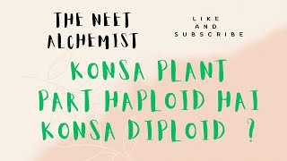 Ploidy of different plant parts now no more confusion Konsa haploid hai Konsa diploid [upl. by Rossing308]