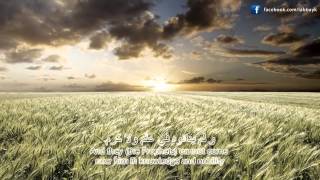 Beautiful Nasheed Ya Rabbi Bil Mustafa  Labbayk Video [upl. by Awjan]