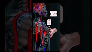 CPR physiology physio doctor doctors nursingstudent nursing [upl. by Curson]