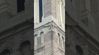 Gargoyles on City Hall Tower [upl. by Ahsirk]