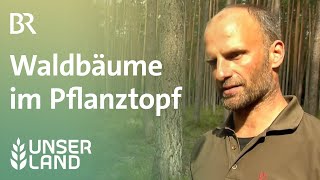 Junge Waldbäume im Pflanztopf Unser Land  BR Fernsehen [upl. by Brom140]