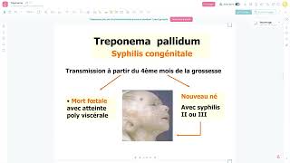 Bacteriologie  Le Treponema Pallidum Syphilis FMPC [upl. by Eyllom]