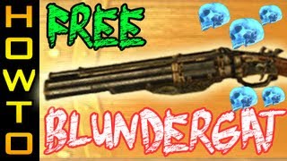 FREE Blundergat  How to get two Blundergats  All 5 Skull Locations  Mob of the Dead [upl. by Nigrom]