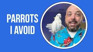 3 Categories of Parrots I Avoid [upl. by Pik]