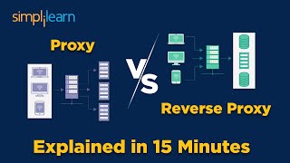 Proxy vs Reverse Proxy Explained In 15 Minutes  Cybersecurity Tutorial For Beginners  Simplilearn [upl. by Mackie74]