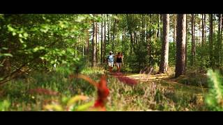 Clip touristique Pays Sancerre Sologne [upl. by Ah680]