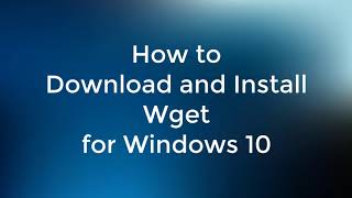 How to Download and Install Wget for Windows 10 [upl. by Carilla276]