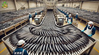 How Millions of Eels Are Processed in a Factory  Eel Production Process [upl. by Nilat927]