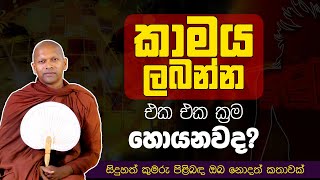 සිදුහත් කුමරු පිළිබඳව ඔබ නොදත් කතාවක්  Ven Handapangoda Nivathapa Himi [upl. by Olecram]