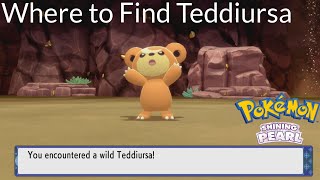 Pokemon Shining Pearl  Where to Find Teddiursa [upl. by Newcomb]