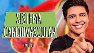 SISTEMA CIRCULATÓRIO OU CARDIOVASCULAR  Parte 01  Prof Kennedy Ramos [upl. by Rayle]