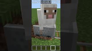 Killing sheep but at what cost shorts trending minecraft shortsfeed gaming subscribe [upl. by Lebana]