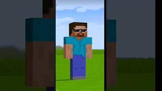 Steve vs Herobrine minecraft [upl. by Kev552]