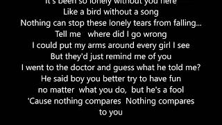 Chris Cornell  Nothing Compares 2U  Cover  Live  Scroll Lyrics quot22quot [upl. by Alimac]