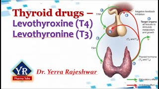 Thyroid drugs  Thyroxine amp Thyronine  YR Pharma Tube  Dr Yerra Rajeshwar  Dr YR [upl. by Ebeneser]