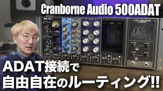 これ、すごい。Cranborne Audio 500ADAT、徹底レビュー [upl. by Gnas]