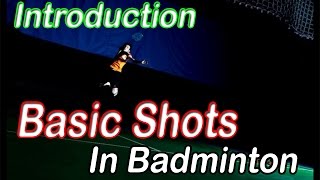 Badminton Beginners  Introduction of Basic Shots in Badminton [upl. by Anattar]