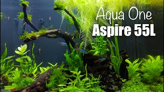 Aqua One Aspire 55L  Ep2 Planted ᴴᴰ Aquascape No Ferts No co2 [upl. by Shama573]