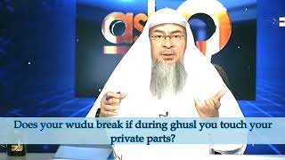 Does your wudu break if during ghusl you touch your private parts  Sheikh Assim Al Hakeem [upl. by Raseta]