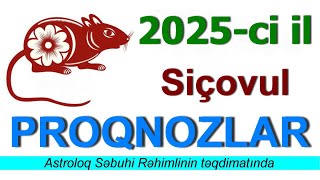 2025 Siçovul ilinin proqnozları [upl. by Atews]