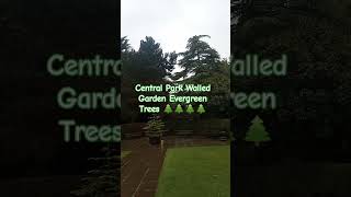 Central Park Walled Garden Evergreen Trees 🌲🌲🌲🌲 [upl. by Casimire]