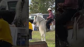 Caballo no quería bailar jaripeofiestamexicanarodeocaballos ￼￼ [upl. by Llevol713]