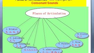 الاستاذ خالد الخطيب دورة الصوتيات درس 2 مكان نطق وحالة نطق الاصوات [upl. by Iruam]