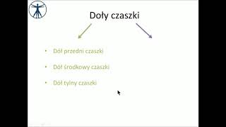 Doły czaszki wstęp PL [upl. by Schach]