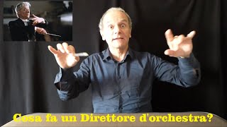 A cosa serve il Direttore dOrchestra Impariamo insieme i gesti [upl. by Bathelda]