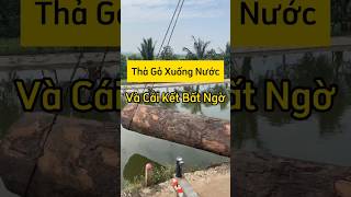 Thả Gỗ Xuống Nước Và Cái Kết Bất Ngờ govietbac goquynghinnamtuoi gokhung chieungua phango [upl. by Astera380]