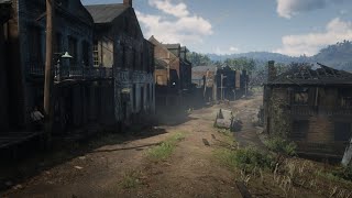 VISITE VAN HORN RED DEAD ONLINE [upl. by Vorfeld141]