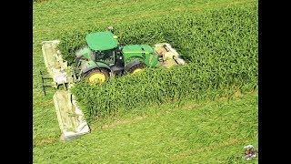 Mowing Sorghum Sudan Grass near Payne Ohio [upl. by Huckaby915]