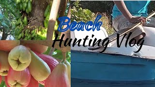 Hunting Fruits  Jamaican Apple Jumbline etc  Boat Ride at Sea and more [upl. by Nnaarual701]