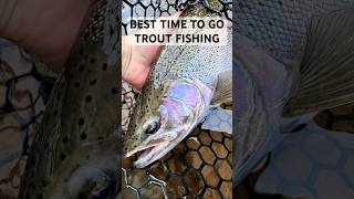 Best Time to go Trout Fishing 🕰️🎣 troutfishing adventure nature learn fish steelhead brown [upl. by Richel779]