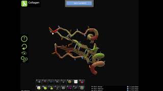 Foldit Educational Mode Tutorial Collagen [upl. by Eckhardt]