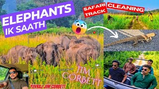 TIGER GRASSLAND NHI AAYA SAFARI TRACK KI CLEANING SE 😨ELEPHANTS HERD SIGHT HO GYE😊yuvrajjimcorbett [upl. by Prouty]