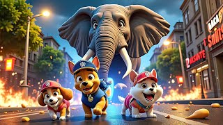 Paw Patrol Ultimate Rescue  CHASE x SKYE Run Away From Danger Elephant  Funny Story  Rainbow 3 [upl. by Anitnas]