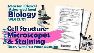 Pearson Edexcel Advanced Level Biology  Cell Structure  Types of Microscopes and Staining [upl. by Shaner452]