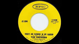 The Orphans – Theres No Flowers In My Garden 1968 Jeffrey Glenns lost Jukebox Volume 103 [upl. by Nahtanod]