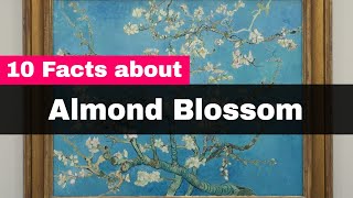 Van Gogh Almond Blossom  10 Interesting Facts About Almond Blossom [upl. by Penland]