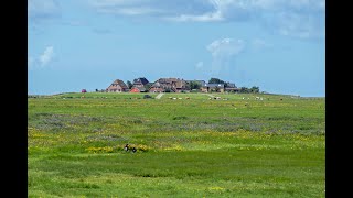 Hallig Hooge Juli 2024 [upl. by Jessica]