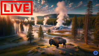 🌎 LIVE Yellowstone National Park  Old Faithful  Relaxing Music [upl. by Syah]