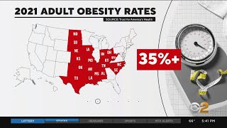 Experts alarmed by rising obesity rates [upl. by Irwinn]