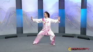 Sun Style Tai Chi Competition Routine 73 Forms form 6268 Eng Sub Master Qiu Huifang [upl. by Rowell]