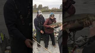 Salmon Fishing On The Satsop River [upl. by Afesoj]