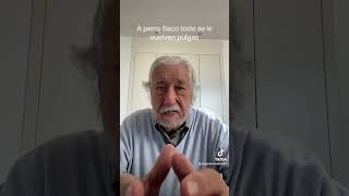 A perro flaco todo se le vuelven pulgas AgustinMedina cortos dichos refranes [upl. by Nimajeb162]